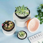 pots fleurs succulentes transparents pots jardin pots minimalistes pots plante pots plastique pots pots