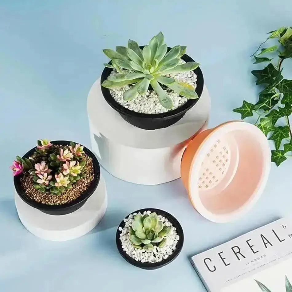 pots fleurs succulentes transparents pots jardin pots minimalistes pots plante pots plastique pots pots