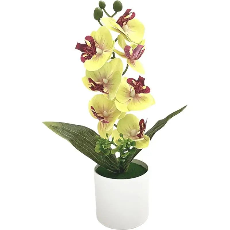 décoration intérieure orchidées artificielles fleurs blanches roses bleues jaunes modernes maison