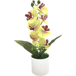 décoration intérieure orchidées artificielles fleurs blanches roses bleues jaunes modernes maison