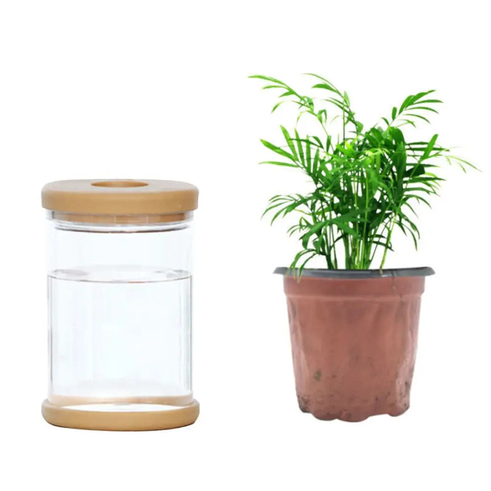 vase hydroponique transparent moderne minimaliste plantes intérieures simpleDecorationInterieur