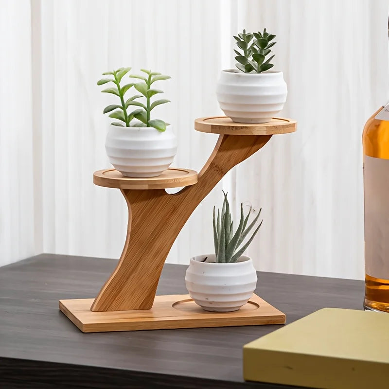 présentoir arbre bois clair trois niveaux plantes décoratif minimaliste nature inspiré succulentes fleurs petits