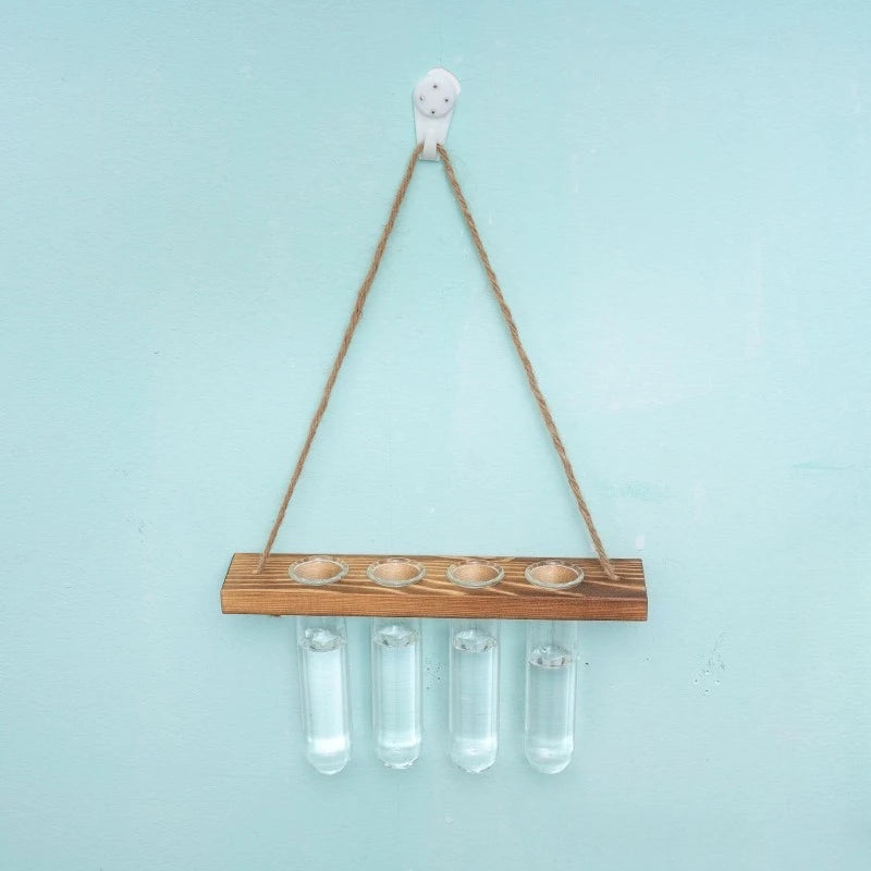 support mural plantes verre transparent bois naturel minimaliste rustique corde nouée tube hydroponiqueintérieur decoration
