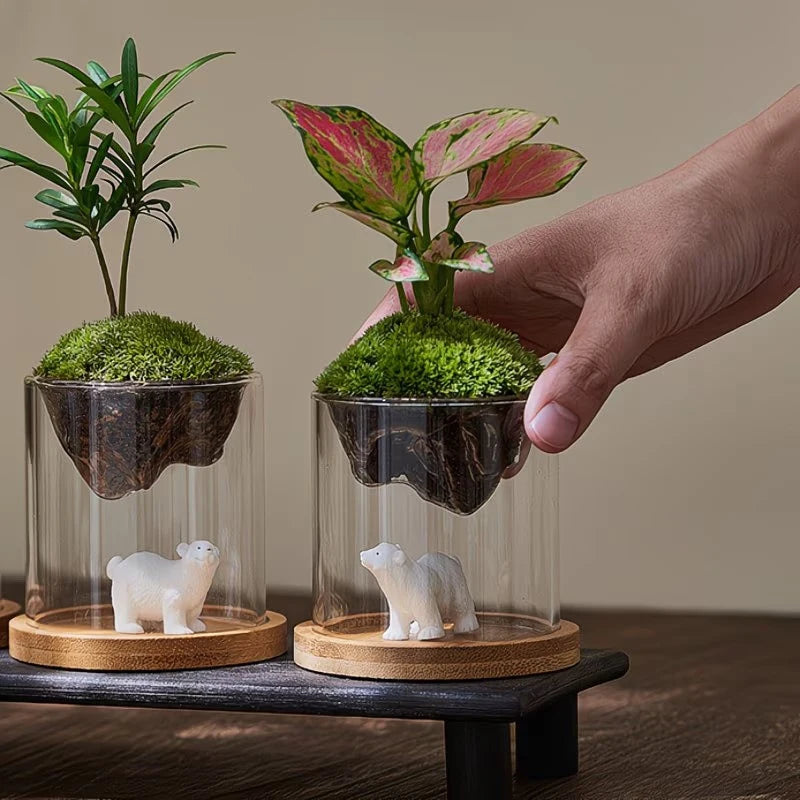 terrarium transparent moderne mousse verte plante terre petite décoration maison hydroponique jardinière