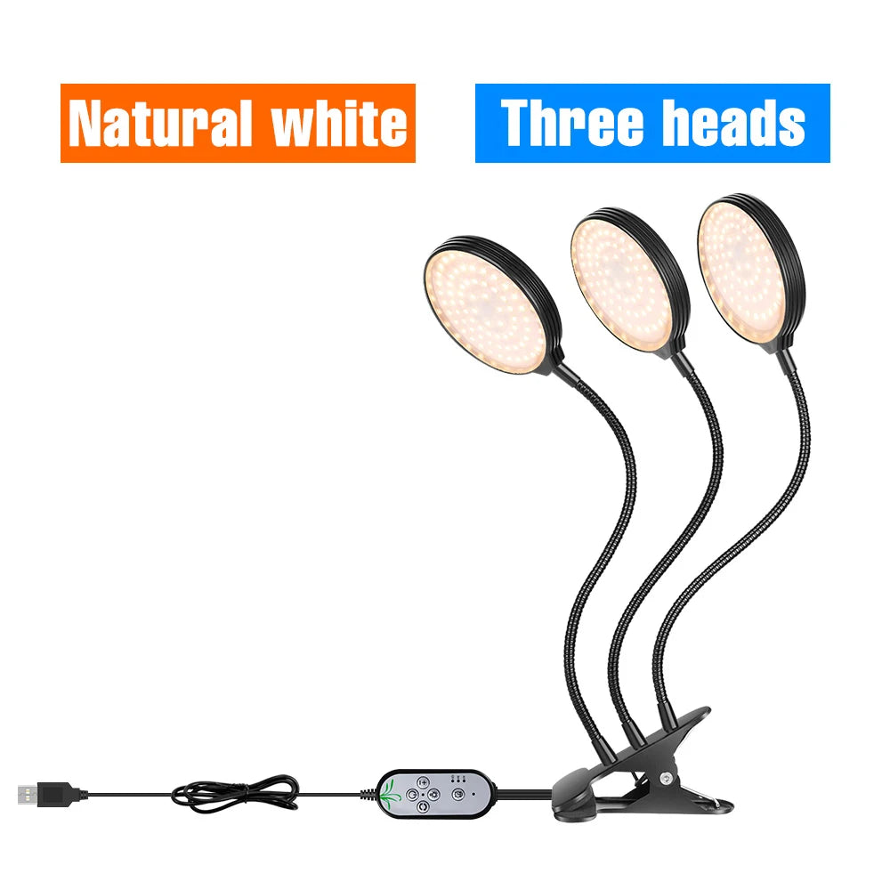 lampe croissance led noir moderne minuterie usb 5v têtes crochets réglable auto