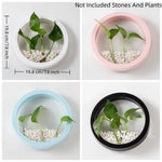 pot hydroponique mural moderne blanc noir rose bleu clair fixé mur transparent uni