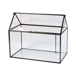 serre verre transparent moderne couvercle perforé clips air plant