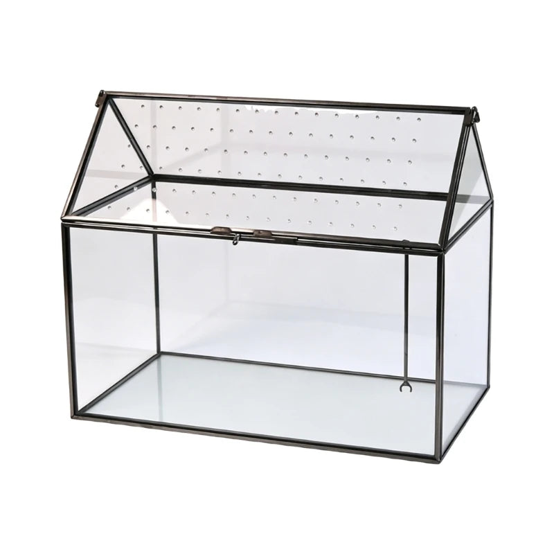 serre verre transparent moderne couvercle perforé clips air plant
