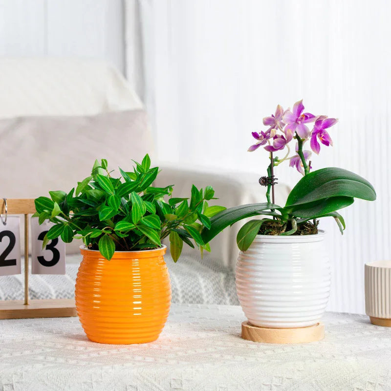 cache pot auto arrosant transparent moderne rayures horizontales blanc rouge orange
