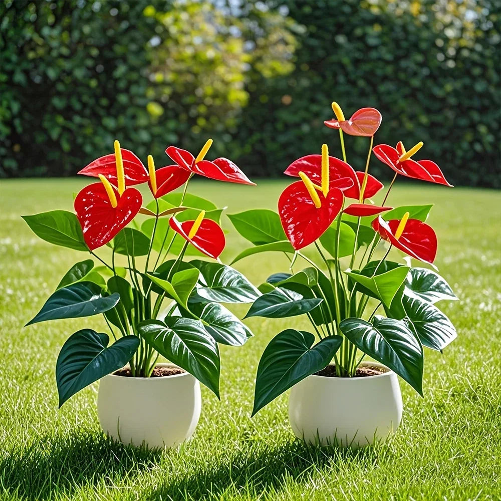fleurs artificielles anthurium rouge feuilles vertes pots blancs décoration mariage anniversaire extérieur tropical