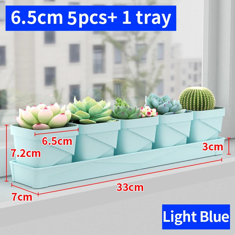 petit pot fleurs blanc plastique moderne cactus succulentes plateau intégré