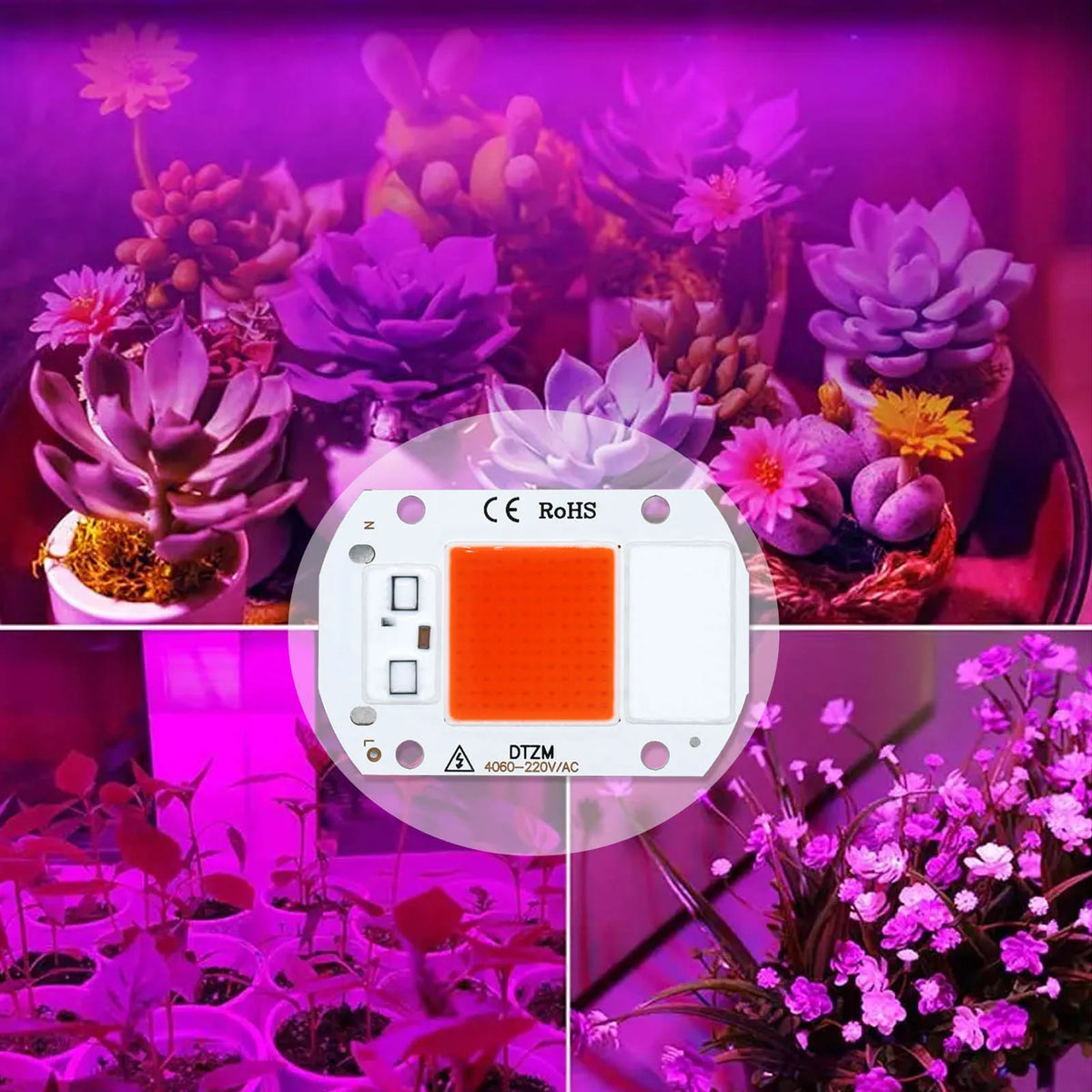ampoule led 10w 20w 30w 50w blanc orange moderne croissance plantes 380 840nm 120deg