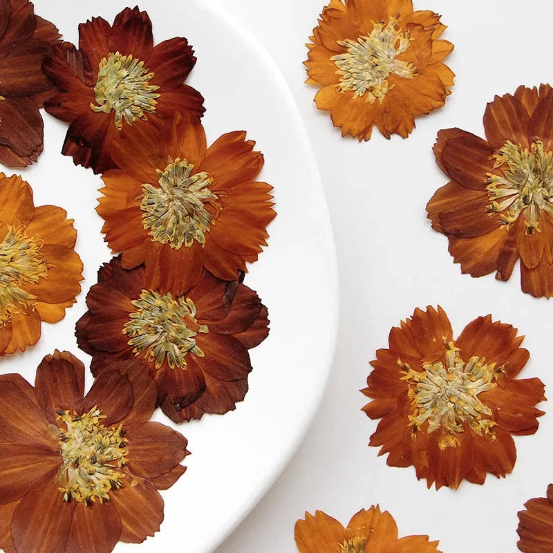 fleurs séchées chrysanthèmes orange rouge brun décoration naturelle vintage anniversaire baby shower