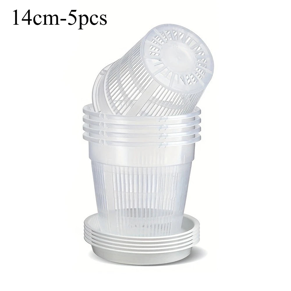 pots plantes transparents grille moderne orchidées fleurs blanches soucoupes drainage 11cm 14cm 16cm 19cm