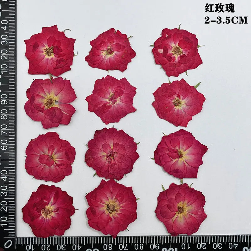 fleurs séchées naturelles rouge jaune blanc rose décoration maison intérieure bricolage scrapbooking abat jour