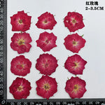 fleurs séchées naturelles rouge jaune blanc rose décoration maison intérieure bricolage scrapbooking abat jour