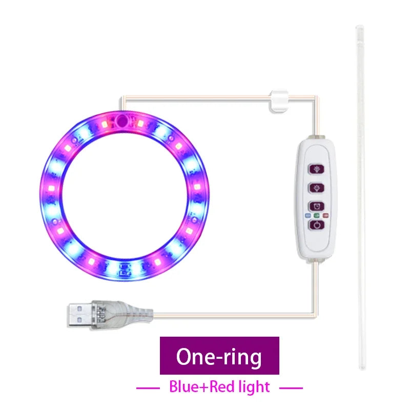 anneaux lumineux led croissance plantes intérieures blanc rose bleu rouge moderne minuterie usb rechargeable