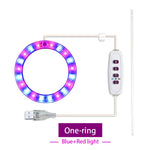 anneaux lumineux led croissance plantes intérieures blanc rose bleu rouge moderne minuterie usb rechargeable