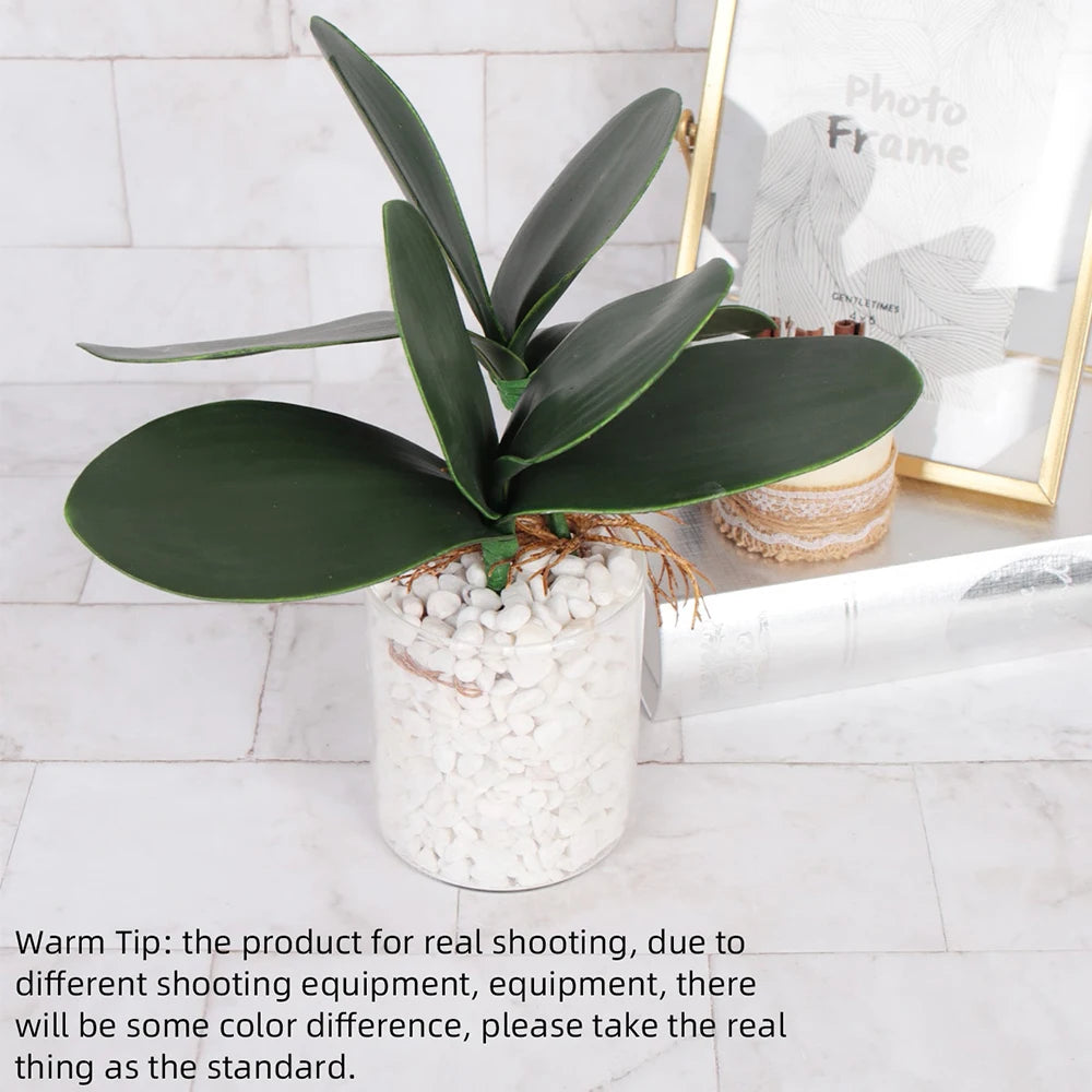 plantes artificielles feuilles larges décoration extérieure pots verre cadres photo moderne aménagement paysagerextérieur