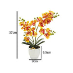 décoration murale orchidées artificielles fleurs douces moderne pot blancintérieur