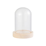 cloche verre transparent moderne base bois naturel boîte rangement fleurs minimalistes différentes tailles