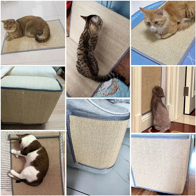 tapis anti rayures chat protection murale canapé planche gratter bambou durable jouet massage cat