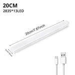 lampe induction corporelle rechargeable blanc moderne minimaliste clips chargeur 10cm 20cm 30cm 50cm