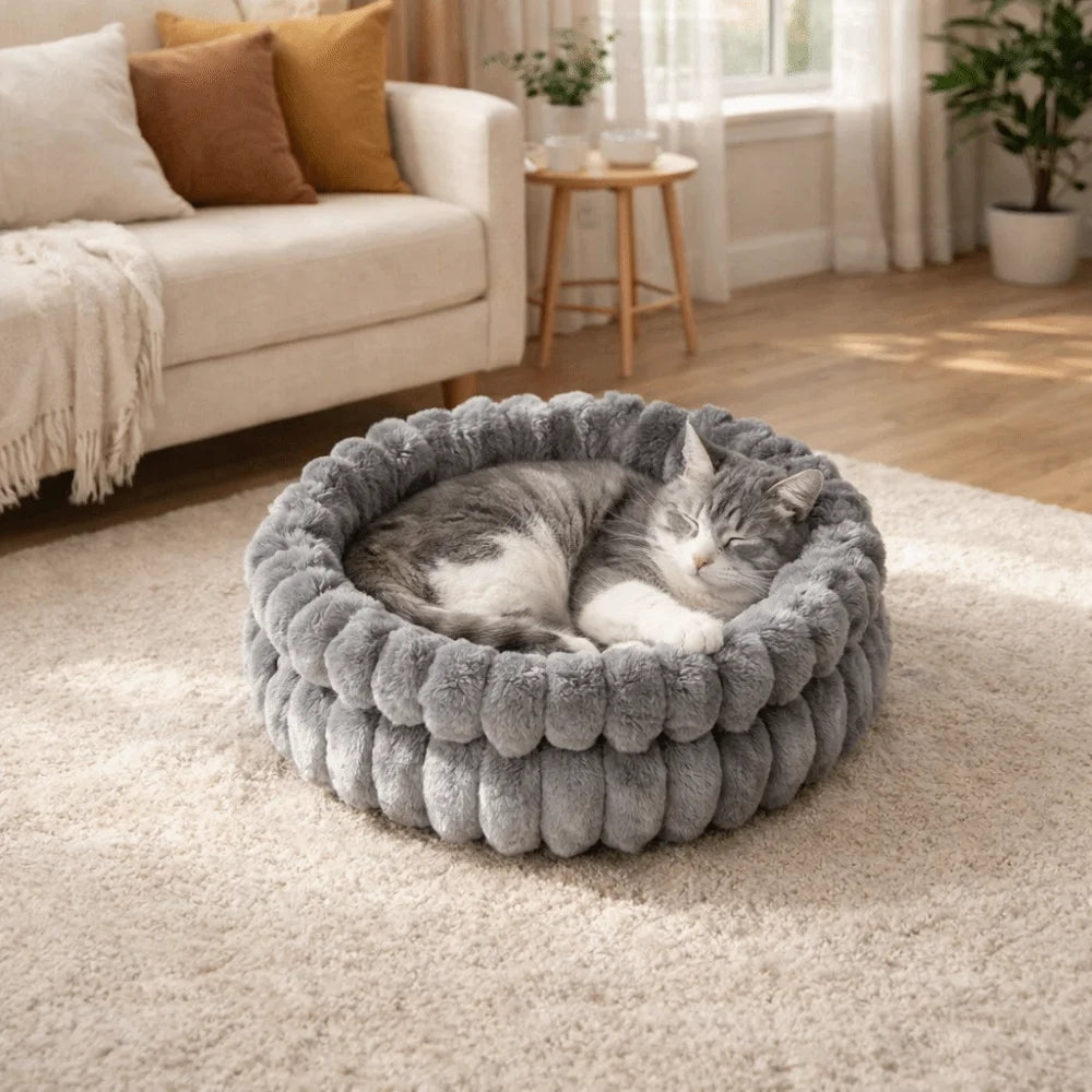 lit chat velours doux beige gris moderne confortable coussin amovible