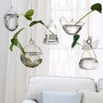 vases suspendus verre transparent modernes minimalistes cordelière plantes vertesextérieurintérieur
