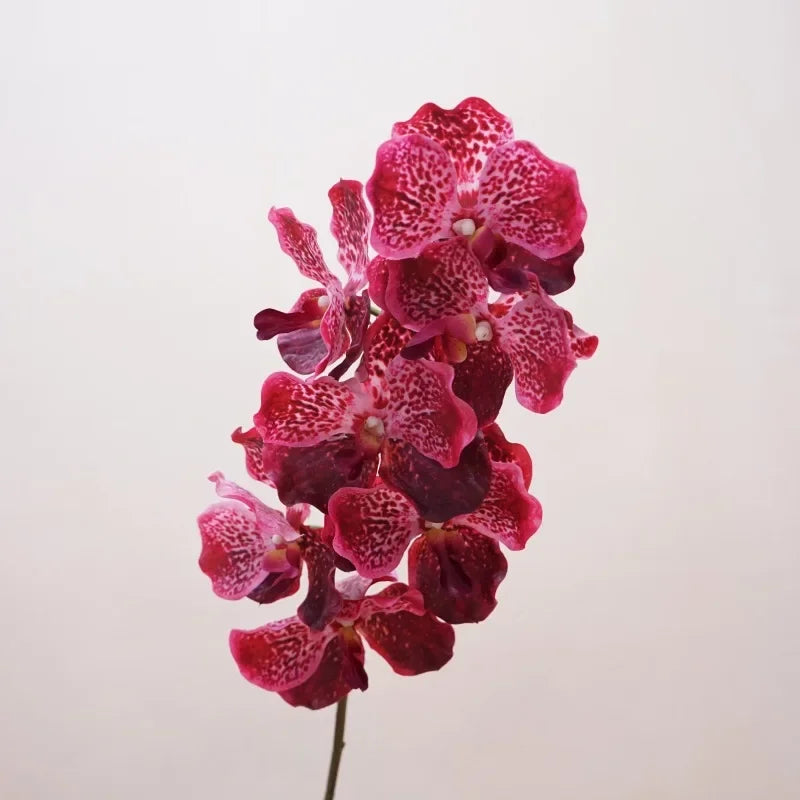 Décoration intérieure orchidée artificielle latex violette rose blanche naturelle têtes