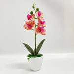Orchidée artificielle rose pot blanc fleurs blanches intérieur décoration moderne salon événement