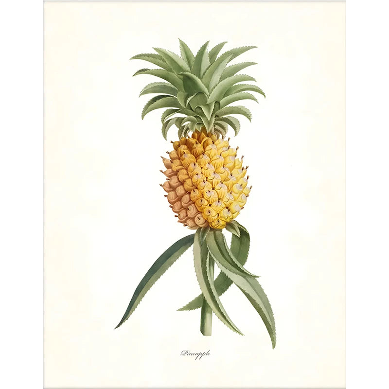 affiche botanique classique plantes tropicales illustration verte jaune blanche sans cadre doré maison décoration