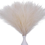 décoration mariage bouquet plumes séchées naturel moderne rustique 10 pièces vaseextérieur exposition