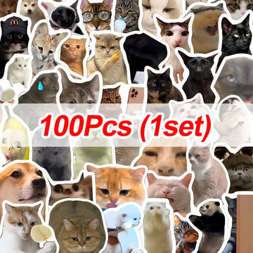 autocollants chats multicolores humoristiques adhésifs 500 pièces stickers mèmes cute