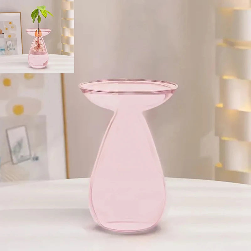 vase transparent moderne plante graine avocat culture hydroponique décoration maison minimaliste