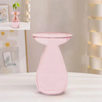 vase transparent moderne plante graine avocat culture hydroponique décoration maison minimaliste