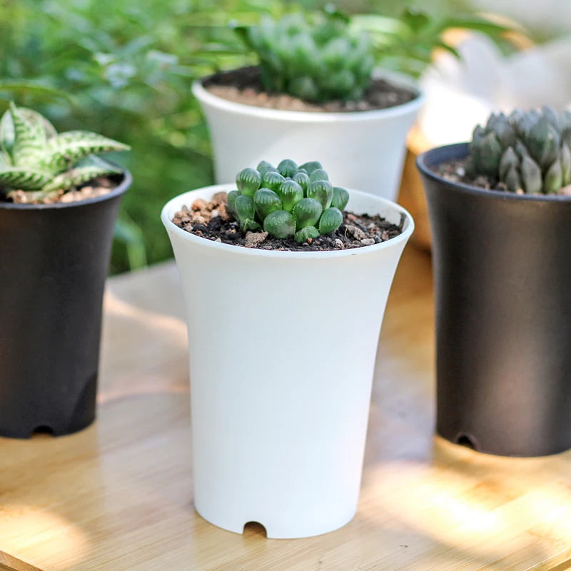 pots plante noirs blancs modernes succulentes décoration maison 10pc 5pc