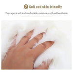 tapis blanc rose doux peluche non glissant absorbant salon chambre nordique moderneComfortable