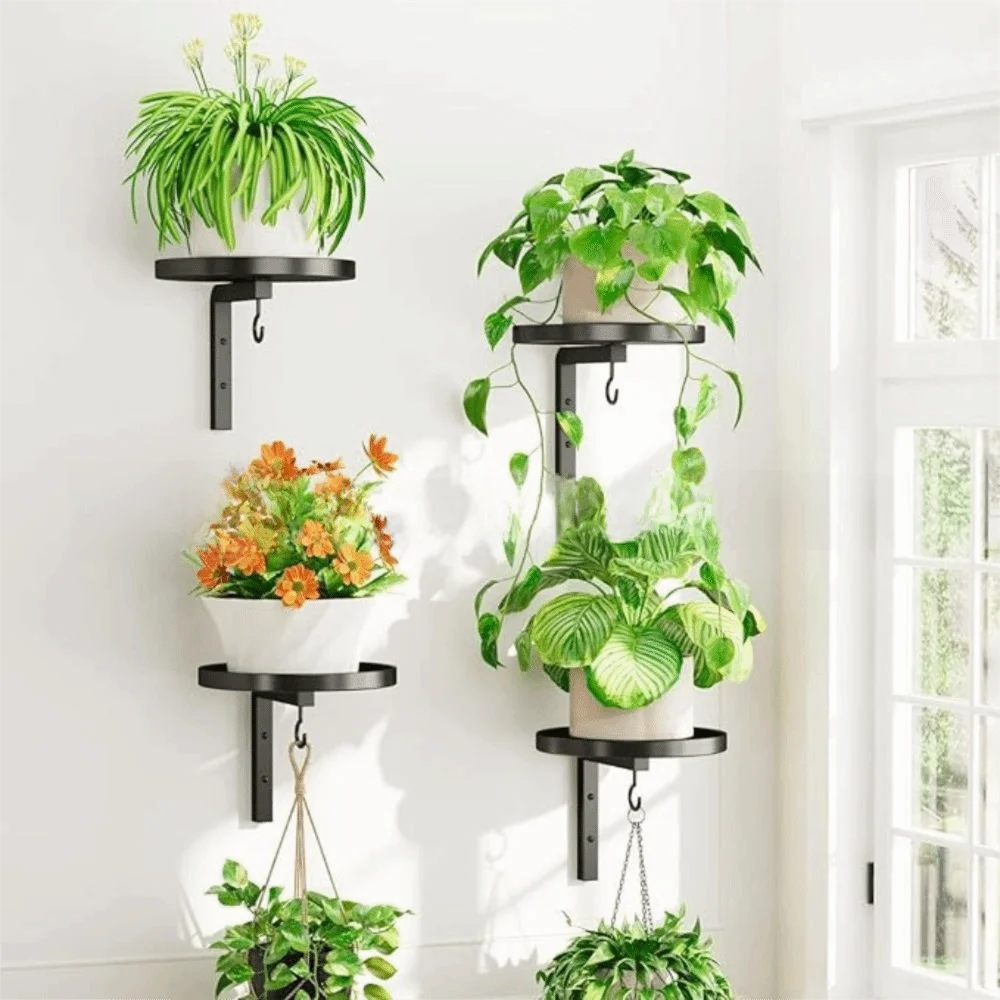 support mural noir étagère crochet plantes suspendues pot terre cuite modernes minimaliste rustique bohème