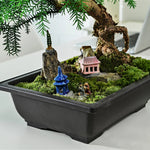 pot fleurs bonsaï miniature décor pagode maison rocher jardin intérieur