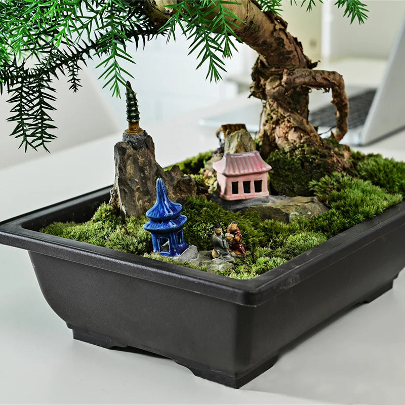 pot fleurs bonsaï miniature décor pagode maison rocher jardin intérieur