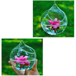 vase table transparent verre texturé minimaliste suspension 10cm 12cm fleur roseintérieur anneaususpension