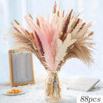 bouquet fleurs séchées naturelles roses herbe pampa décoration maison anniversaire mariage Bohème rustic