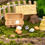 boîtes œufs résine animal compagnie simple décor maison poupée paysagiste jardin plateau œufs DIY