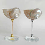 coquillage pied verre couleur dorée élégant moderne brillant accueil décoration ornement cadeau