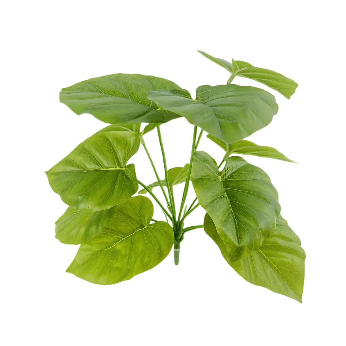 plante artificielle décorative feuilles vertes blanches rouges salon maison moderne naturel
