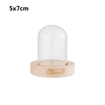 cloche verre transparent moderne base bois hermétique qualité alimentaire stockage voyage bouteille ensemble bouteilles