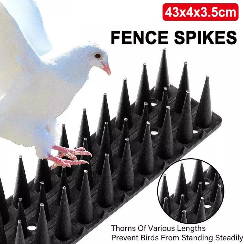 anti oiseaux pointes coniques protection jardin blanc noir moderneextérieur sécurité avifaune