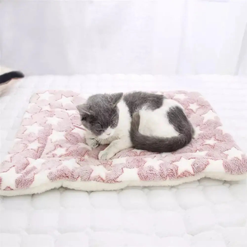 lit confortable chat chien coussin doux motif pattes os couleur pastel