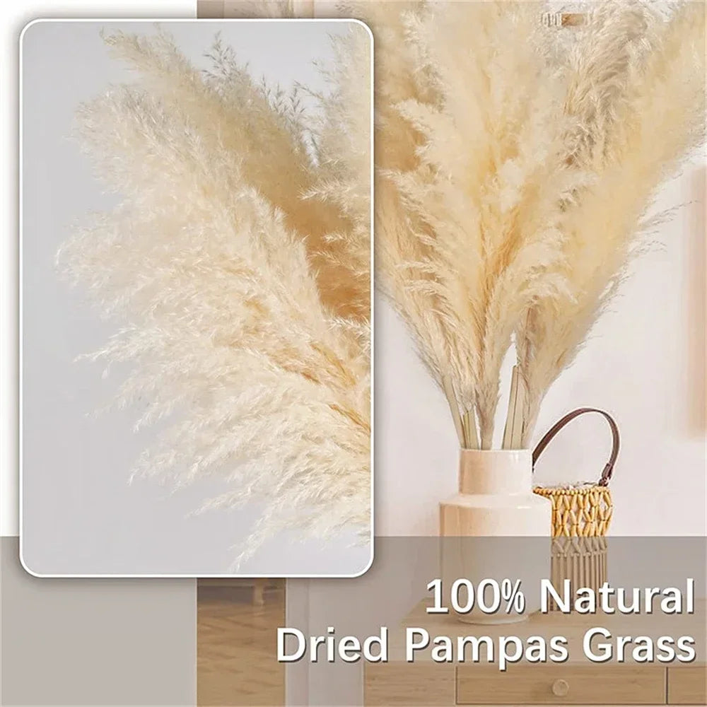 plantes séchées naturelles rustiques décoration mariage intérieur bohème fleurs séchées herbes moelleuses beige clair